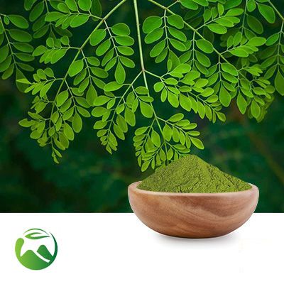 Moringa Leaf Powder by Xi'an Herbs Valley