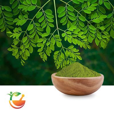 Moringa leaf powder by Panacea Phytoextracts