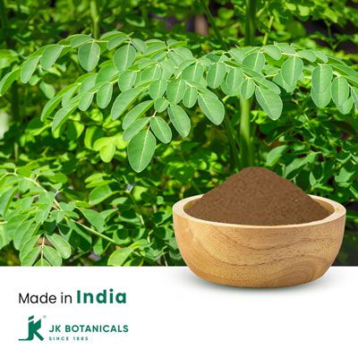 Moringa Oleifera Extract 20:1 by JK Botanicals