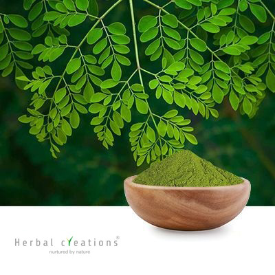 MORINGA POWDER by Herbal Creations