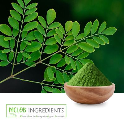 Moringa Powder by Mclob America LLC