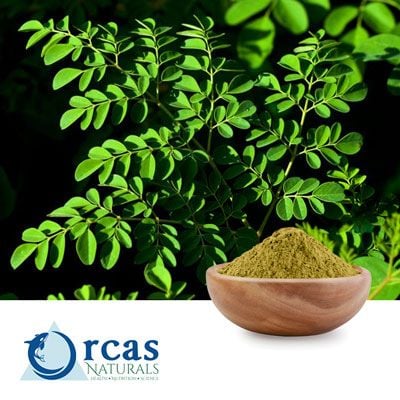 Moringa Powder Extract 50:1 by Orcas Naturals