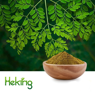 Moringa Leaf Extract 10:1 by Heking
