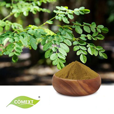 Moringa Leaf Extract 10:1 by Comext
