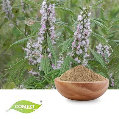 Motherwort Extract 10:1 by Comext