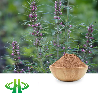 Motherwort Extract 4:1 by Shandong Zhongmin