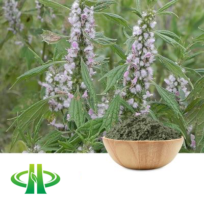 Motherwort Powder by Shandong Zhongmin