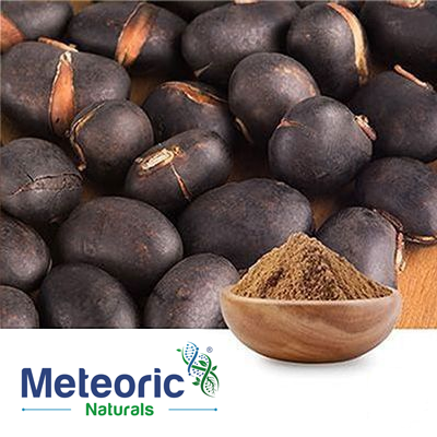 Mucuna Extract L-Dopa 10% HPLC by Meteoric Naturals