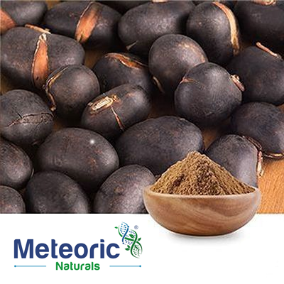 Mucuna Extract L-Dopa 15% HPLC by Meteoric Naturals