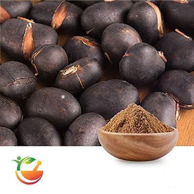 Mucuna Extract L-Dopa 15% HPLC by Panacea Phytoextracts