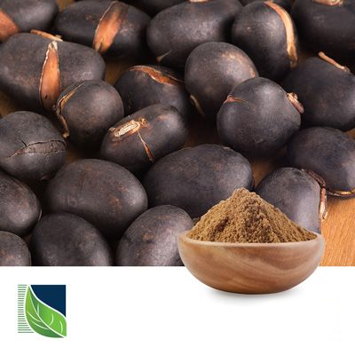 Mucuna Pruriens Extract 10% Organic by Botanic Healthcare