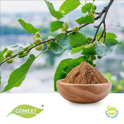 Mulberry Leaf Extract  1% 1-Deoxynojirimycin (No Carrier) by Comext