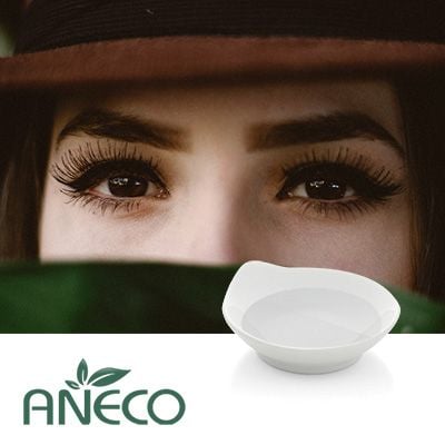 Natural Vanillyl Butyl Ether by ANECO