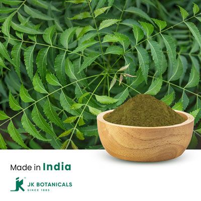 Neem Powder Steam Treated by JK Botanicals