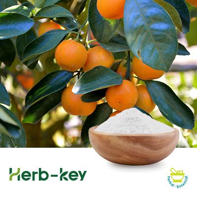 Neohesperidin Dihydrochalcone by Herb-key by Shaanxi Huike Botanical Development Co., Ltd