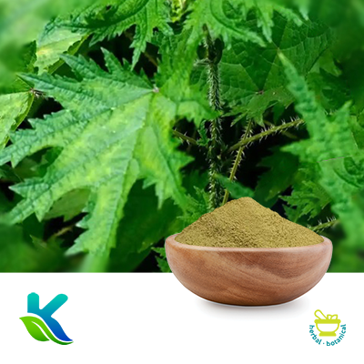 Nettle Leaf Extract 10:1 by Hunan Naturext