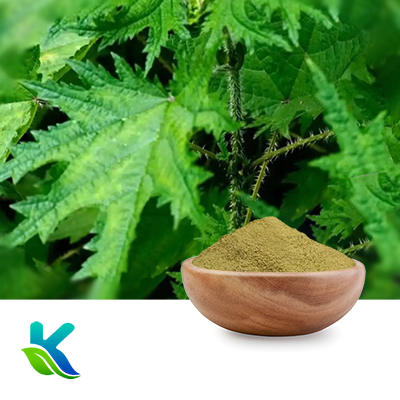 Nettle Leaf Extract 10:1 by Hunan Naturext