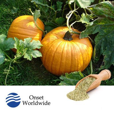 Nitro-Milled® Organic Pumpkin Kernels by Onset Worldwide