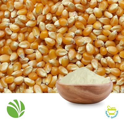 NOVATION® 5600 Corn Starch by Ingredion Incorporated