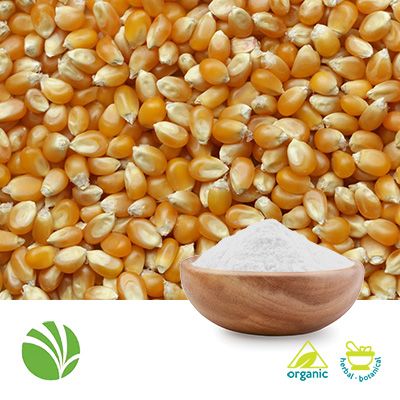 NOVATION® 9560 Organic Corn Starch by Ingredion Incorporated