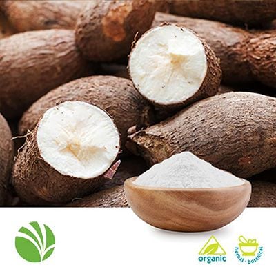 NOVATION® 3300 Functional Native Tapioca Starch (34131304) by Ingredion Incorporated