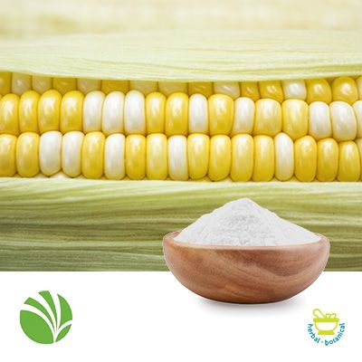 NOVATION ENDURA® 0100 Functional Native Corn Starch by Ingredion Incorporated