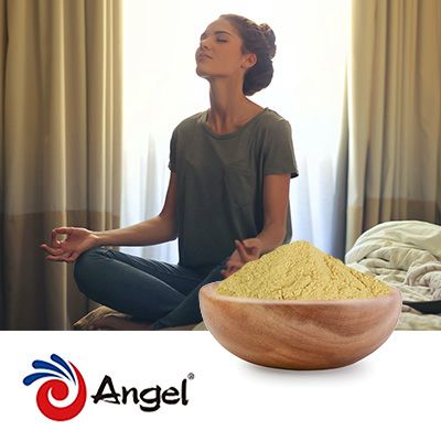 Nutritional Yeast Powder F50 by Angel Yeast