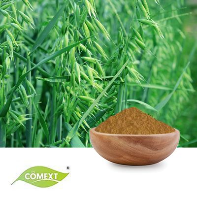 Oat Grass Extract 10:1 by Comext