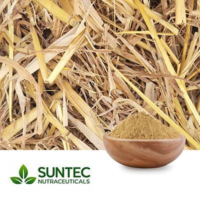 Oat Straw Powder by Suntec Nutraceuticals