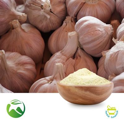 Odorless Garlic Powder by Xi'an Herbs Valley