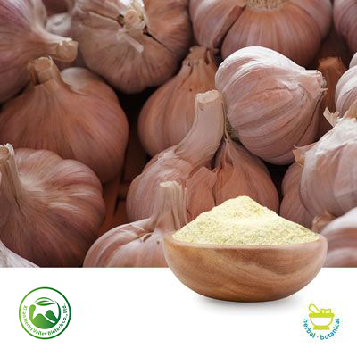 Odorless Garlic Powder by Xi'an Herbs Valley
