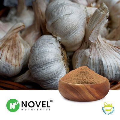 Odorless Garlic Extract 10:1 by Novel Nutrientss