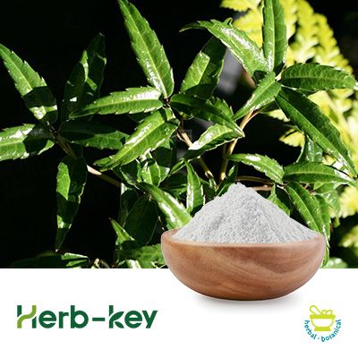 Oleanolic Acid 98% Titration by Shaanxi Huike Botanical Development Co., Ltd
