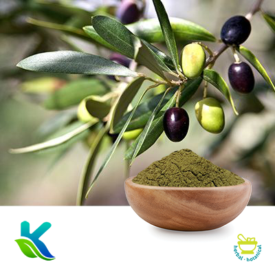  Olive Leaf Extract 20% Oleuropein by Hunan Naturext