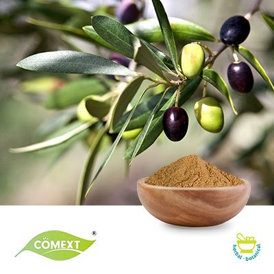 Olive Leaf Extract 10% Oleuropein HPLC by Comext