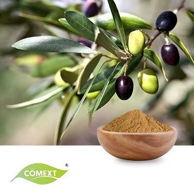 Olive Leaf Extract 40% Oleuropein by Comext