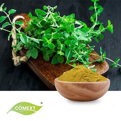 Oregano Leaf Powder by Comext