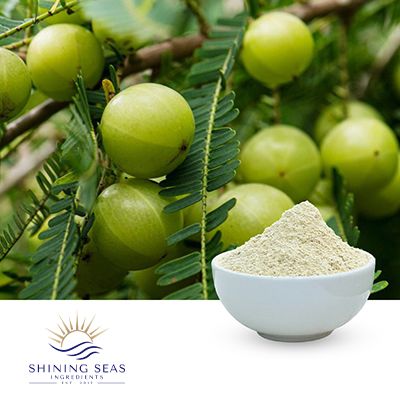 Organic Amla Fruit Powder by Shining Seas Ingredients