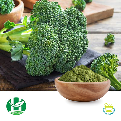 Organic Broccoli Powder by Hunan Extract