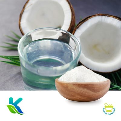 Organic Coconut Water Powder by Hunan Naturext