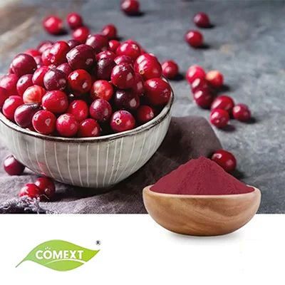 Organic Cranberry Extract 4:1 by Comext