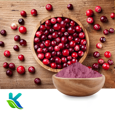 Organic Cranberry Juice Powder by Hunan Naturext