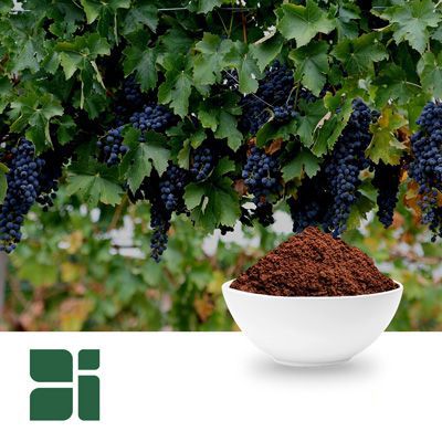 Organic Red Grape Seed Powder by Botanic Innovations