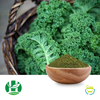 Organic Kale Powder by Hunan Extract