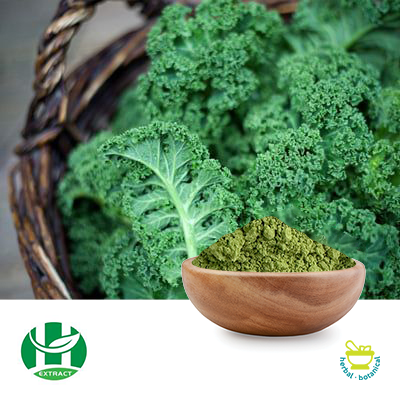 Organic Kale Powder by Hunan Extract