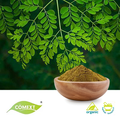 Organic Moringa Leaf Extract 10:1 by Comext