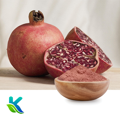 Organic Pomegranate Juice Powder by Hunan Naturext