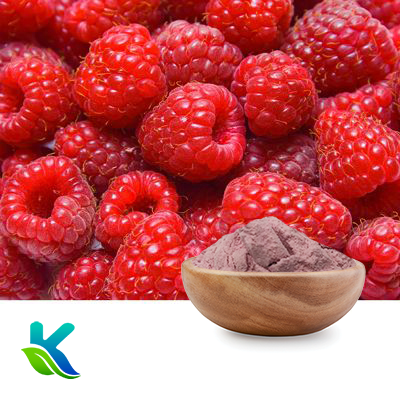 Organic Raspberry Powder by Hunan Naturext