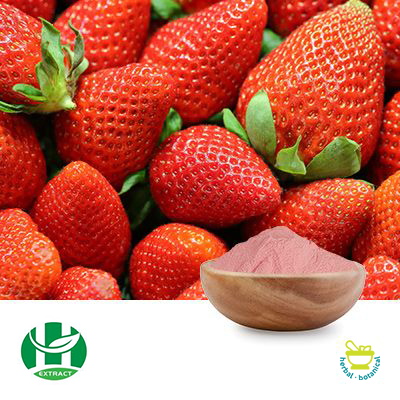 Organic Strawberry Powder by Hunan Extract