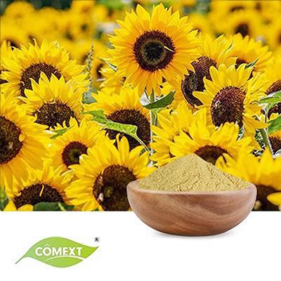 Organic Sunflower Seed Protein 50% Powder by Comext